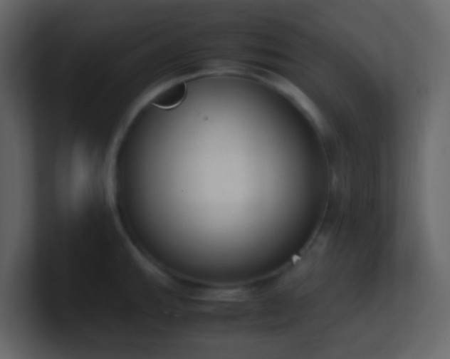 X0000101681143200807101416