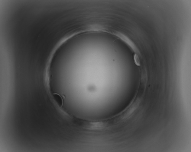 X0000101681144200807101416