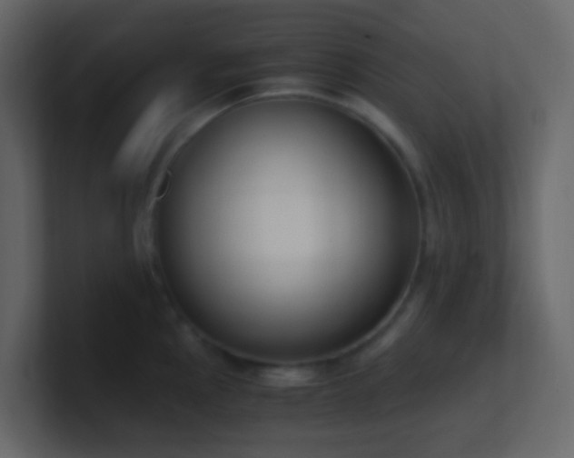 X0000101681145200807101416