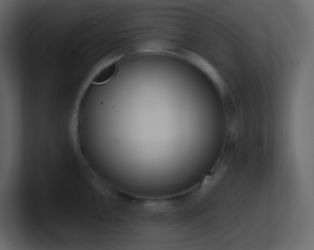 X0000101681146200807101416