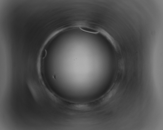 X0000101681147200807101416