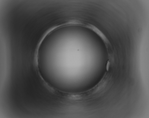 X0000101681148200807101416