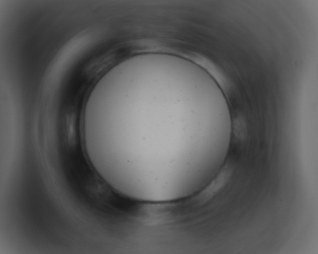 X0000101681150200807101416