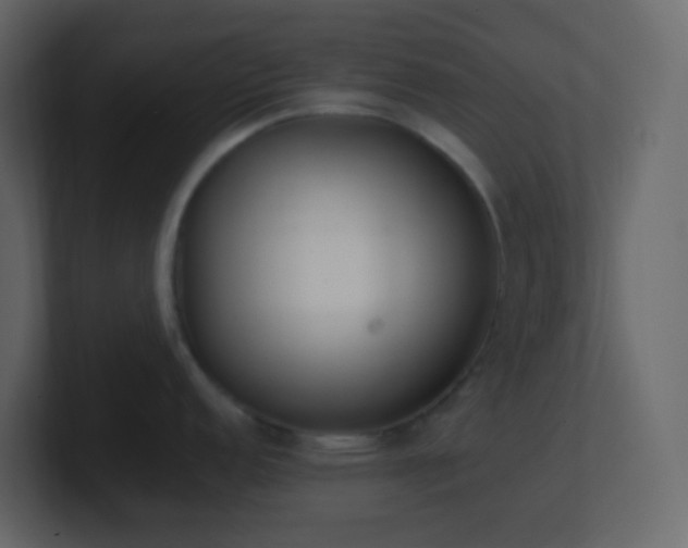 X0000101681152200807101416