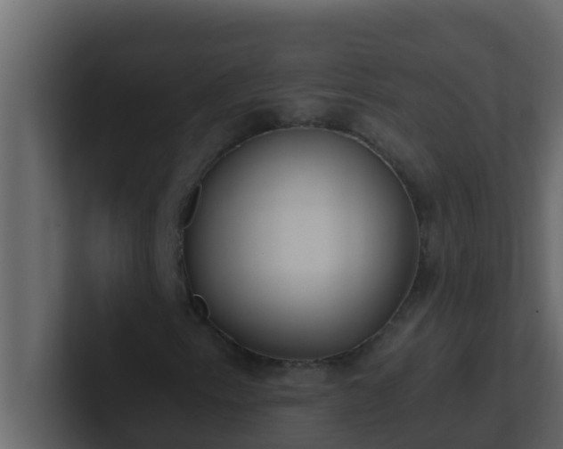 X0000101681153200807101415