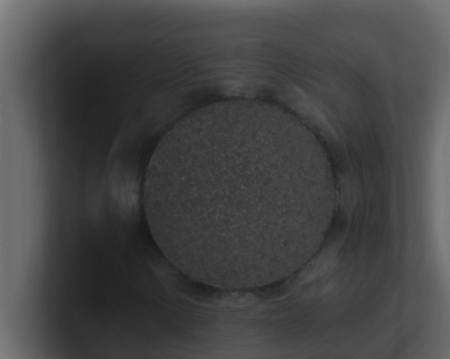 X0000101681154200807101415