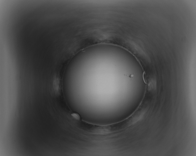 X0000101681156200807101415