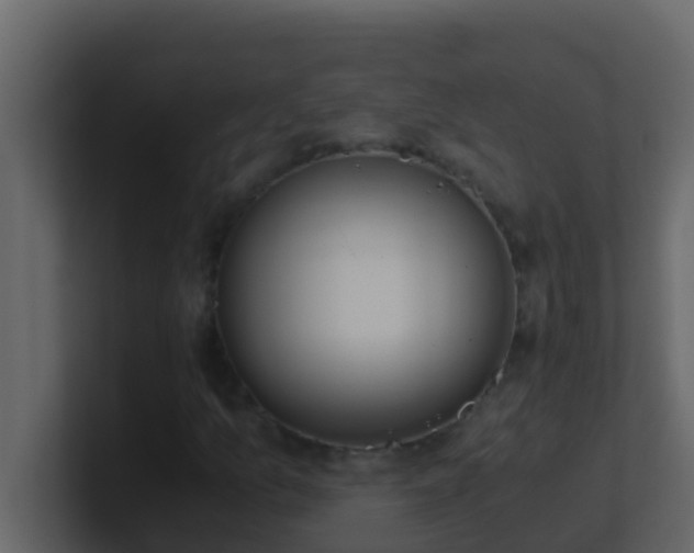 X0000101681157200807101415