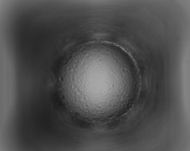 X0000101681158200807101415