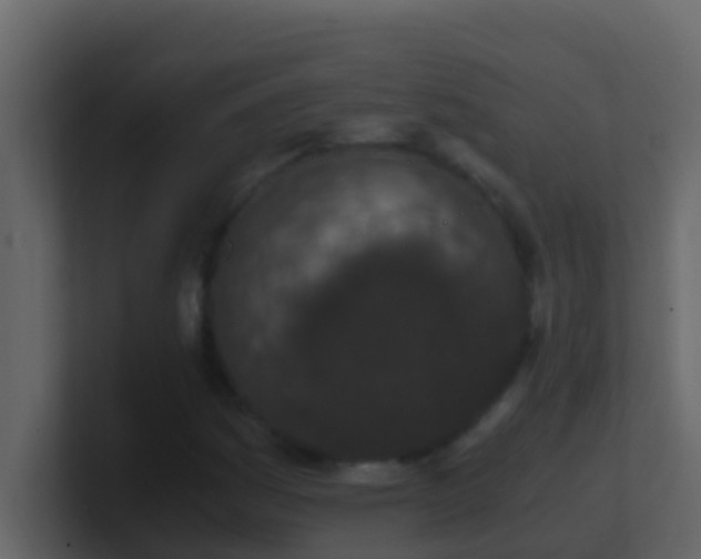 X0000101681161200807101415