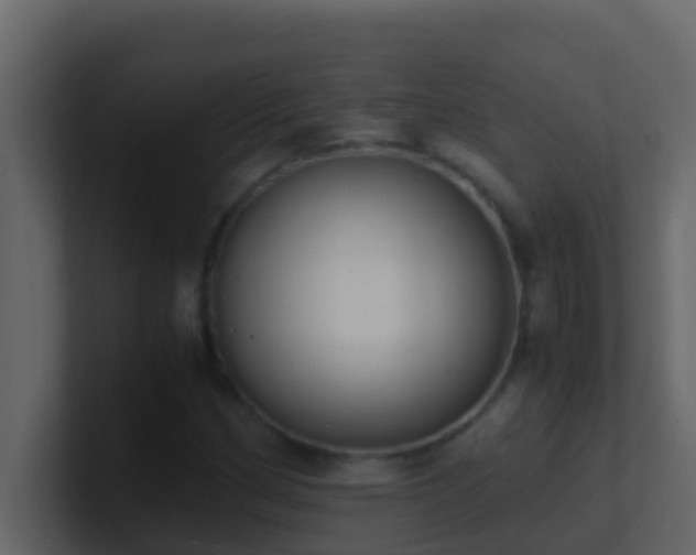 X0000101681162200807101415