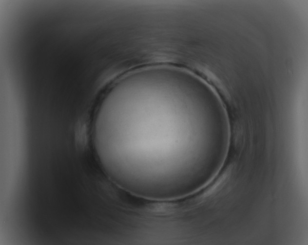 X0000101681163200807101415