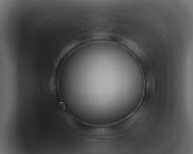 X0000101681164200807101415