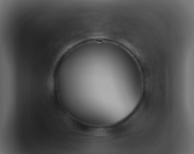 X0000101681167200807101415