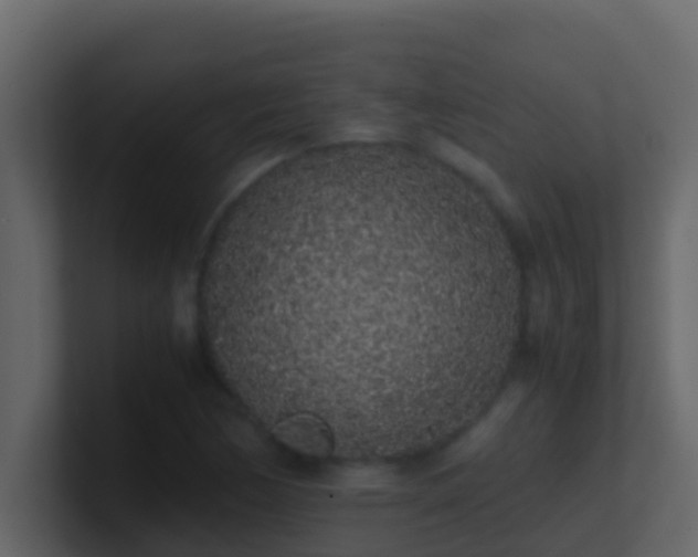 X0000101681170200807101415