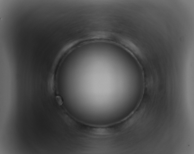 X0000101681172200807101415