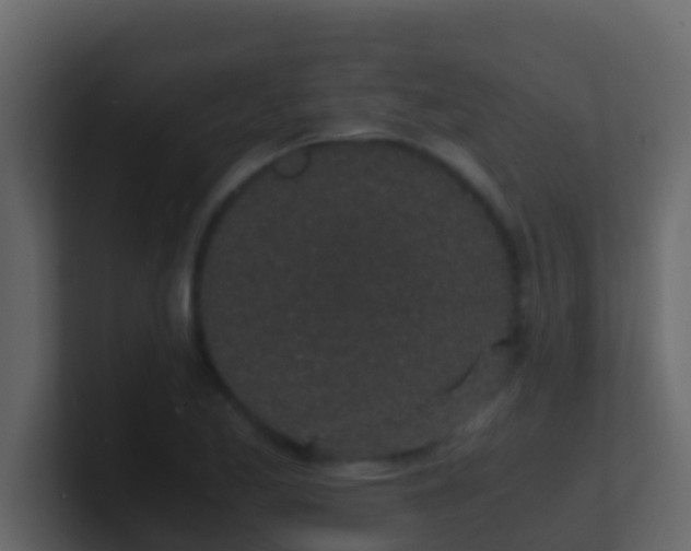 X0000101681173200807101415