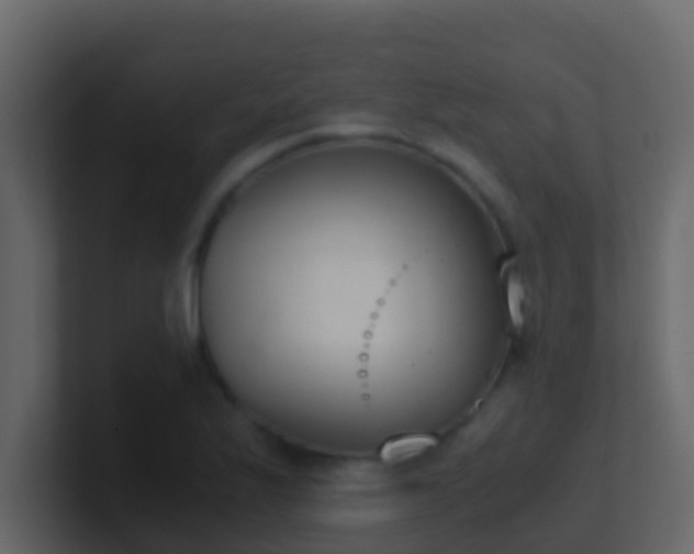 X0000101681175200807101415