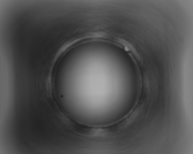 X0000101681176200807101415