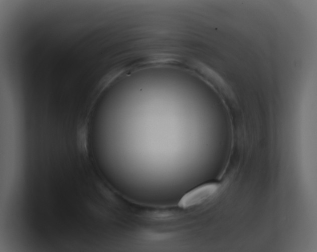 X0000101681177200807101415