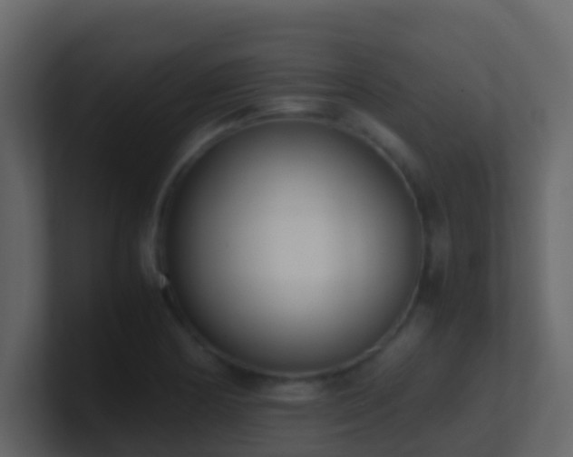 X0000101681178200807101415