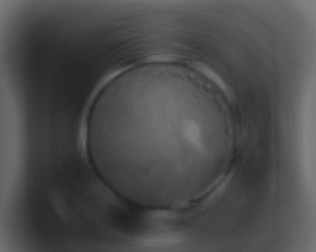 X0000101681179200807101415