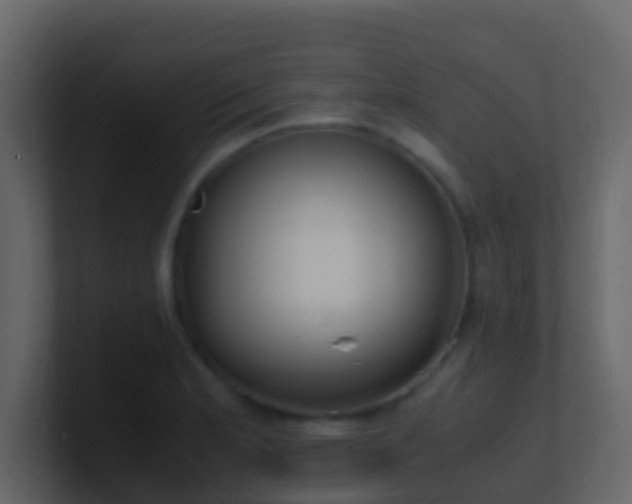 X0000101681181200807101415