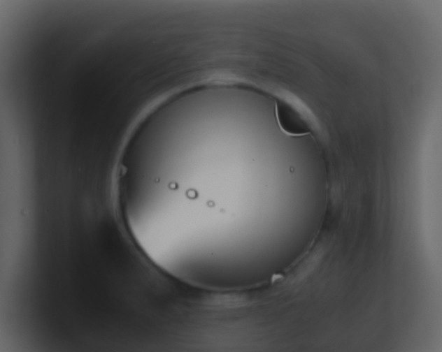 X0000101681183200807101415