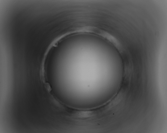 X0000101681184200807101415