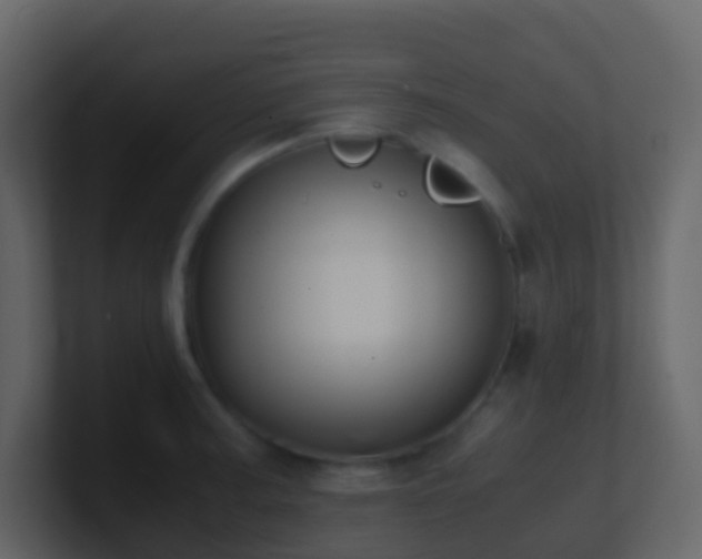 X0000101681187200807101415