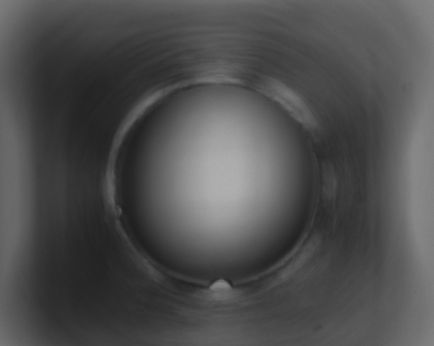 X0000101681188200807101415