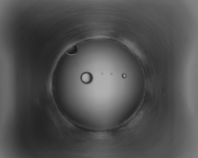 X0000101681189200807101415