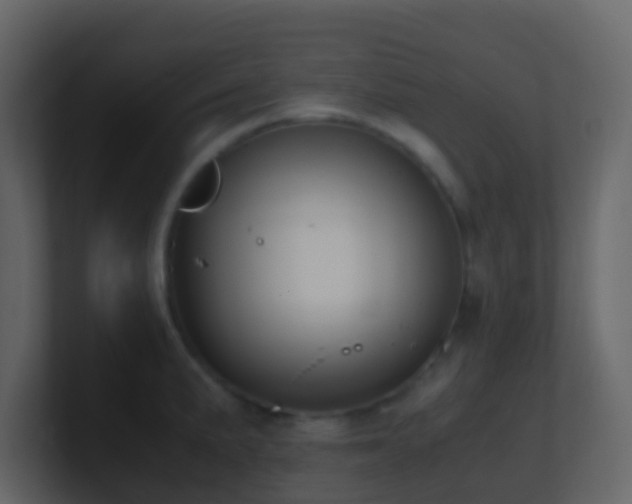 X0000101681191200807101415