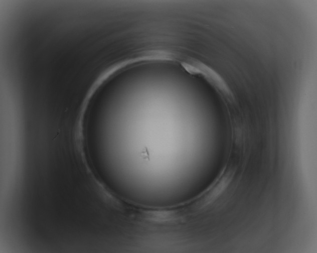 X0000101681192200807101415