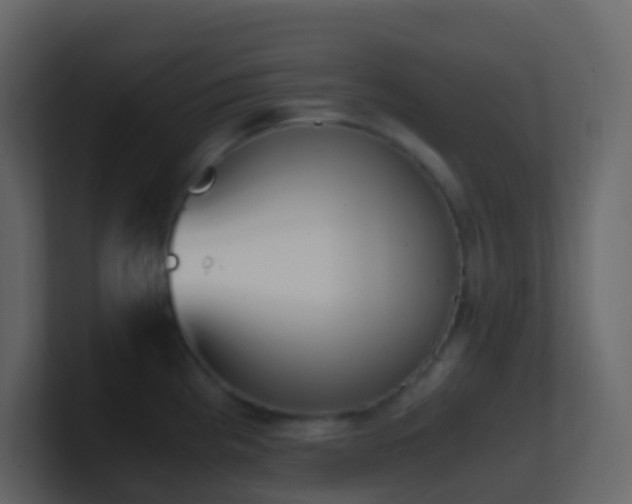 X0000101681193200807101415