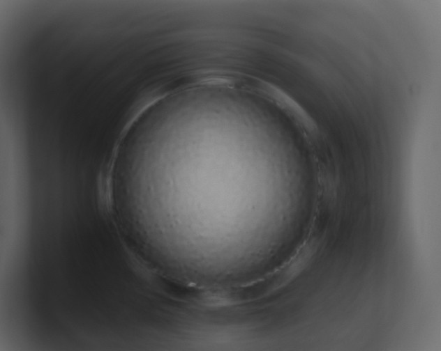 X0000101681194200807101415