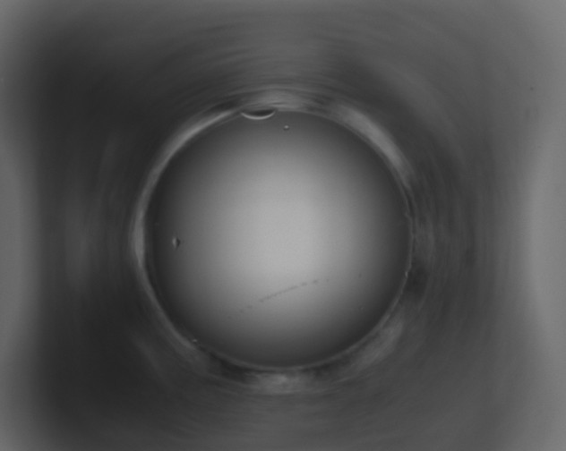 X0000101681195200807101415