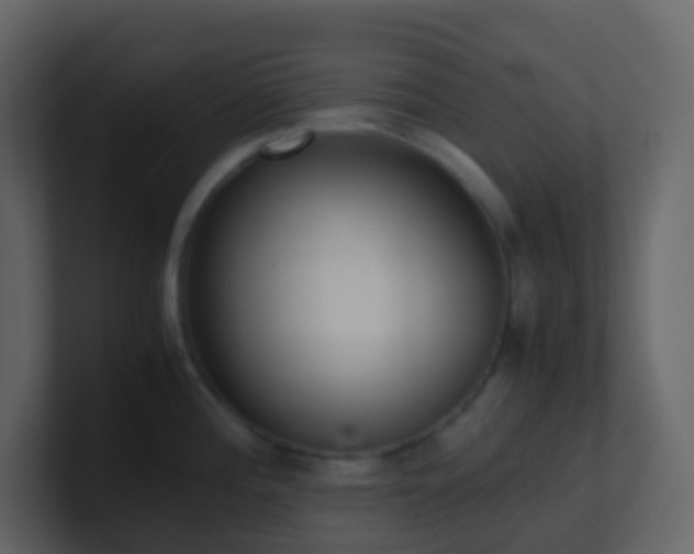 X0000101681196200807101415