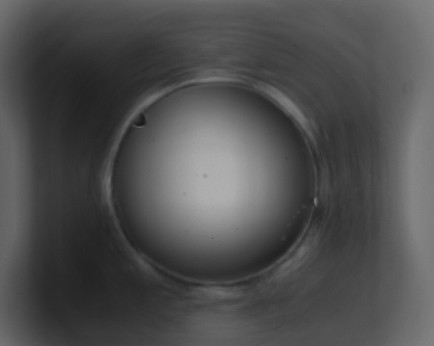 X0000101681197200807101415