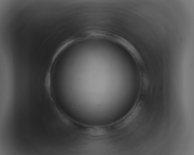 X0000101681198200807101415