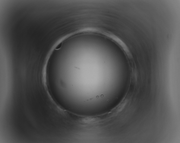 X0000101681199200807101415