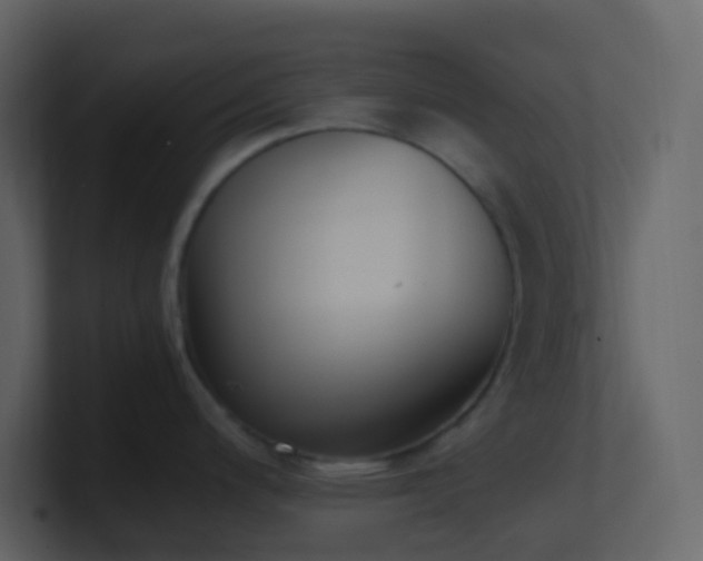 X0000101681200200807101415