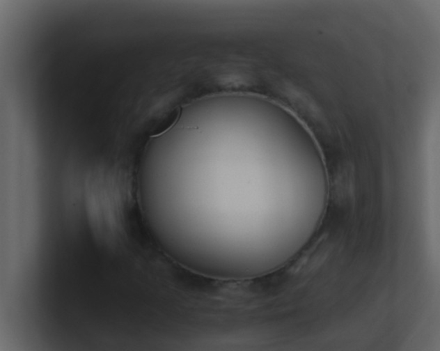 X0000101681205200807101414