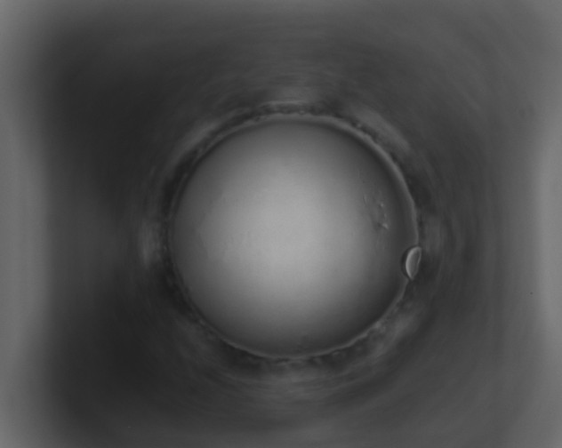 X0000101681208200807101414