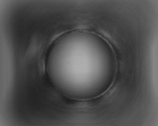 X0000101681214200807101414