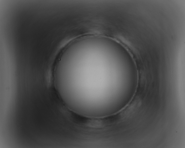 X0000101681215200807101414