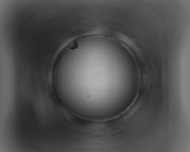 X0000101681216200807101414