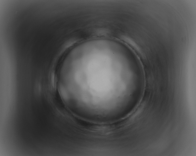 X0000101681219200807101414