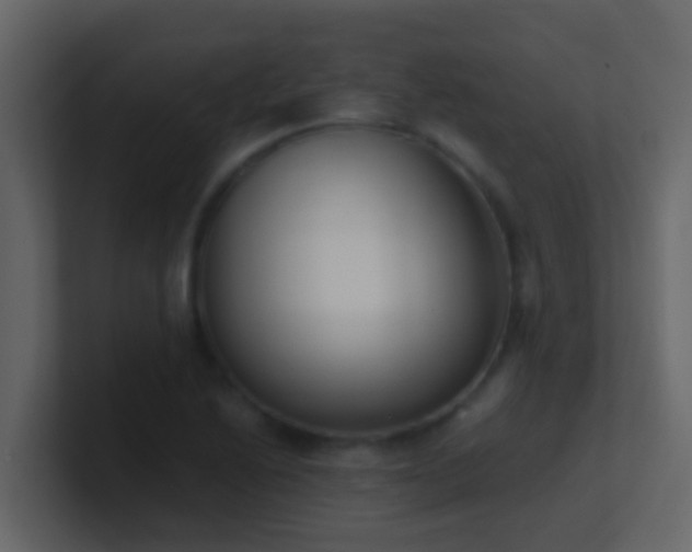 X0000101681222200807101414