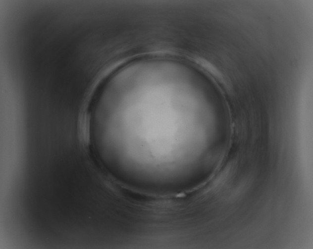 X0000101681223200807101414